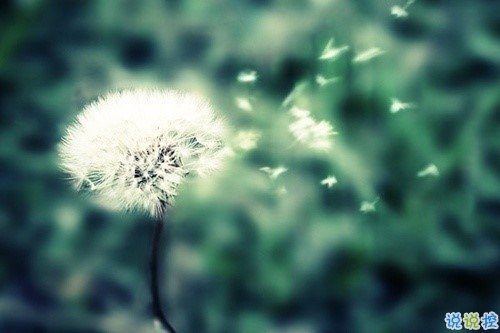 關(guān)于現(xiàn)實的人生感悟帶圖片 27條值得收藏和學(xué)習(xí)的經(jīng)典說說大全2