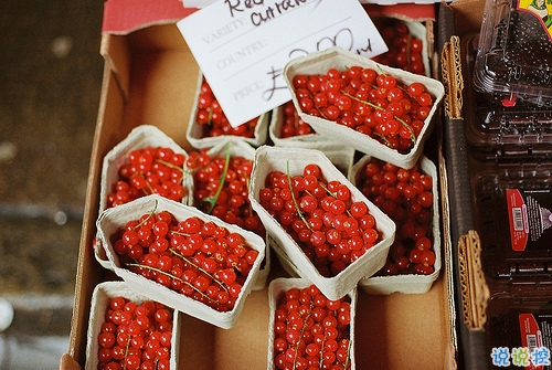 唯美簡單又有哲理有道理的內(nèi)涵一句話說說帶圖片16