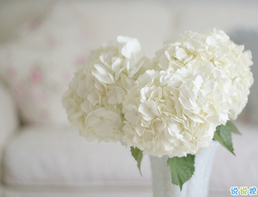 給人正能量的早安句子2019精選 早安說說簡(jiǎn)短經(jīng)典一句話2