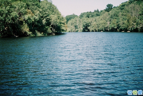 關(guān)于愛情簡單精辟的一句話說說帶圖片 我和世界只差一個你4