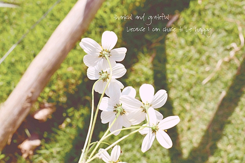 優(yōu)美說說唯美的句子配圖：海底月是天上月，只是鏡花水月9