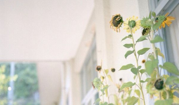 電影電視劇中會出現(xiàn)的唯美經(jīng)典的韓文說說10