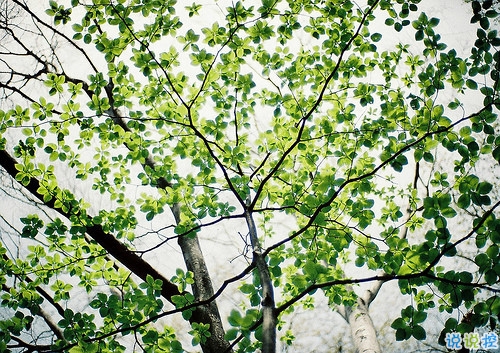 2019微信朋友圈勵(lì)志晚安心語(yǔ)帶圖片 早安晚安勿忘心安7