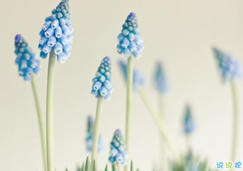 朋友圈個(gè)性說(shuō)說(shuō)2019最火爆的帶圖片 對(duì)我好的人請(qǐng)放心不會(huì)把你弄丟的14