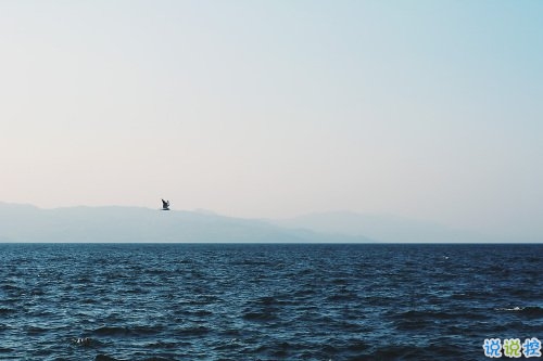 超級甜蜜的肉麻話說說帶圖片 與情感有關的唯美說說配圖14