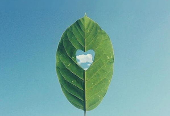 關(guān)于人生的超勵志正能量圖片說說 你優(yōu)秀了自然有對的人與你并肩10