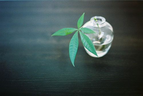 唯美浪漫的說說帶圖片 最美好的事情就是抬頭遇見了你14