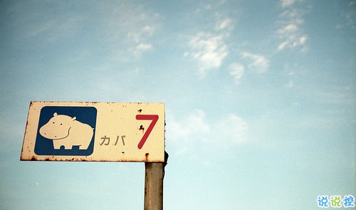 向女朋友求婚的話真實(shí)浪漫點(diǎn) 2019求婚句子大全簡(jiǎn)單帶圖片14