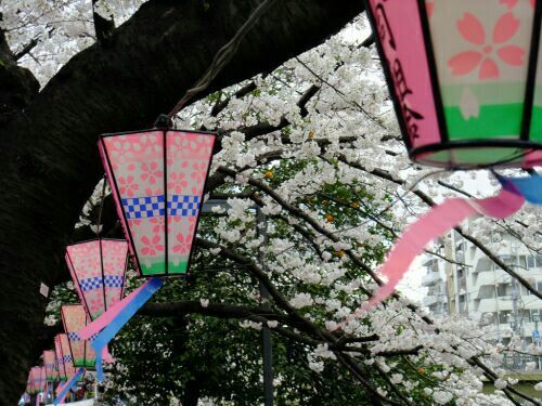 適合心情不好發(fā)的傷感難過說說帶圖片 這一次我放你走好不好2