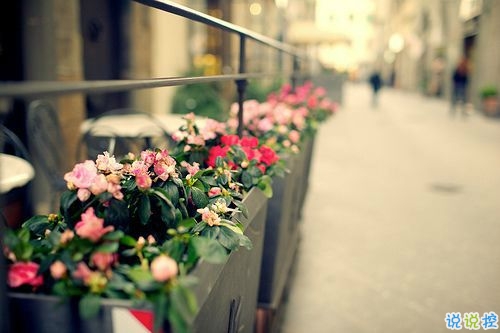 對(duì)愛一往情深的經(jīng)典說(shuō)說(shuō)帶圖片 文藝愛情小短句表達(dá)愛意9