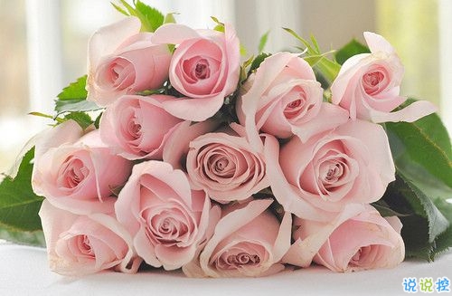 2019春分朋友圈早安祝福語帶圖片 春分唯美說說簡單一句話12