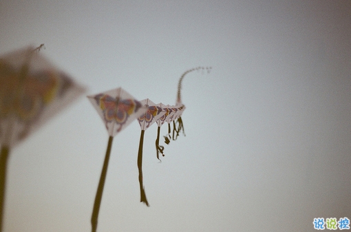 文字控關(guān)于青春成長的唯美說說和圖片 年華是一場無聲劇3