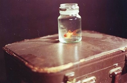 關(guān)于愛情的傷感難過句子帶圖片 我們兩個(gè)之間的進(jìn)度條可能也就只到這里了吧2