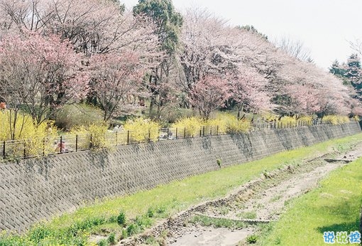 2019最新經(jīng)典說(shuō)說(shuō)給人希望 激勵(lì)人心的經(jīng)典說(shuō)說(shuō)帶圖片13
