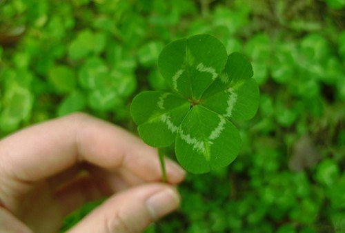 很含蓄唯美的藏頭詩說說帶圖片文字控會很喜歡14