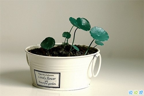 十二月你好幸福唯美說說帶圖片 2018十二月朋友圈說說帶著美好祝愿5