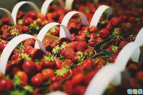 很特別的微信說說帶圖片獨一無二 15條值得收藏的經(jīng)典句子9