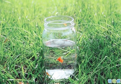 那些抖音中唯美的小清新圖片句子 浮世萬(wàn)千吾愛(ài)有三15