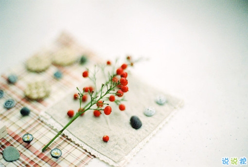 qq文字控愛情哲理說說帶圖片大全 路過了青春我們還剩下什么10