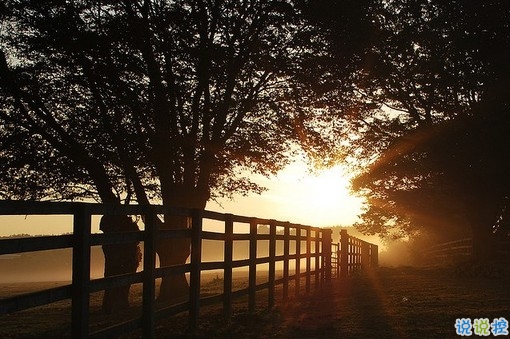 心里委屈難過的說說帶圖片 適合心情不好時發(fā)的微信說說 9