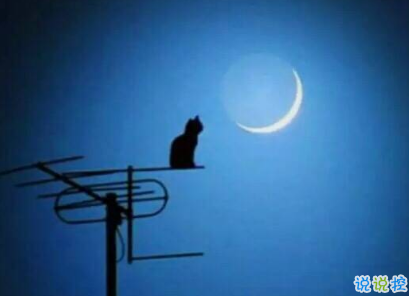 很有道理的心情說說很走心 一句話感悟生活認清現實的說說2