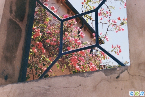 文字控最愛唯美詩意的圖片句子 所有的記憶都是潮濕的3