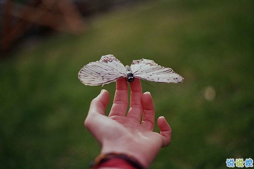 有種淡淡心酸的個(gè)性說(shuō)說(shuō)帶圖片 文字控喜歡的文藝個(gè)性說(shuō)說(shuō)配圖6