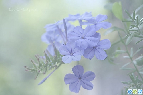 為明天而努力的勵志說說致自己 有關(guān)于積極奮斗的勵志說說共勉10