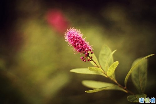 看透愛情的悲傷說說心痛分手帶圖片 開始很感動(dòng)過程很精彩結(jié)局不想說3