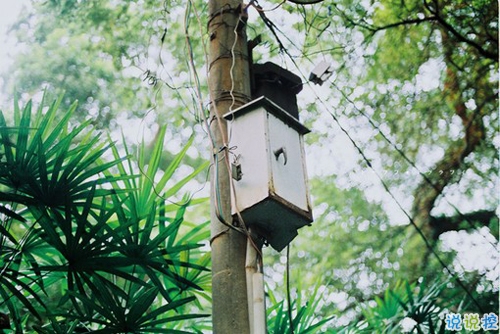感悟人生的正能量句子帶圖片 你走過的彎路都是通向正軌的必經之路15