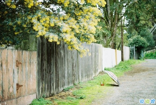 2019最新經(jīng)典語(yǔ)錄太經(jīng)典了霸氣 正能量的朋友圈經(jīng)典語(yǔ)錄1