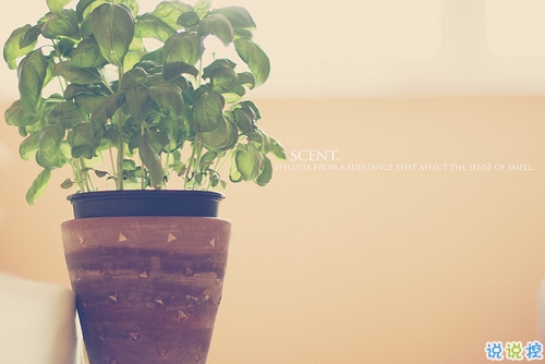 2019微信超文藝說說加配圖 很流行的文藝范經(jīng)典說說大全4