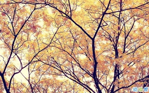 從來(lái)沒(méi)為自己活過(guò)是什么感受 表示很心累的心酸句子1