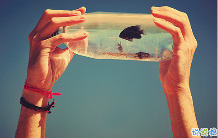 艾特自己的自嘲句子說說文字控 有關(guān)艾特自己的個性說說2