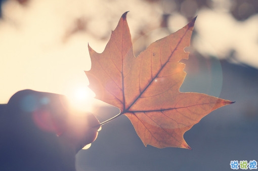 向女朋友求婚的話真實(shí)浪漫點(diǎn) 2019求婚句子大全簡(jiǎn)單帶圖片6