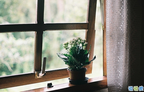 2019元宵節(jié)情話說說溫暖打動(dòng)人 比較適合表白的句子帶圖片6