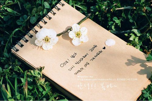 14條值得收藏的朋友圈說說帶圖片 溫柔又文藝的唯美說說圖片3