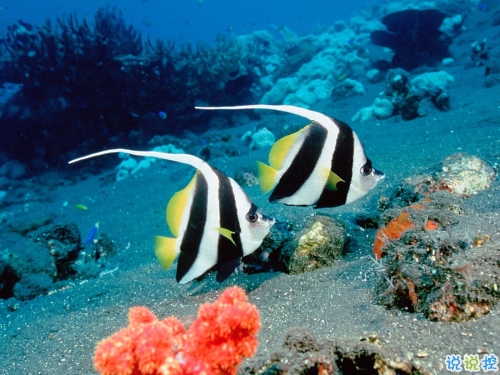 鼓舞人心的經(jīng)典說說帶圖片 朋友圈點贊超多的經(jīng)典說說9