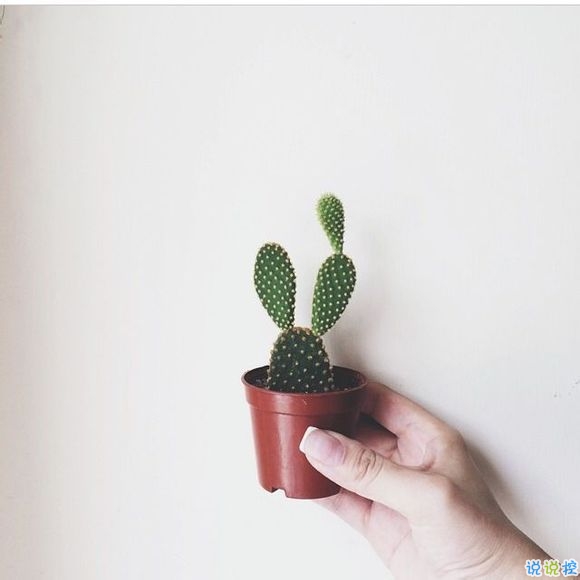 戀愛時的甜蜜小情話溫柔的句子帶圖片 我奔向你就像奔向未來4