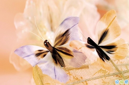 苦澀傷感的愛情說說帶圖片 特別心酸傷感的句子大全14