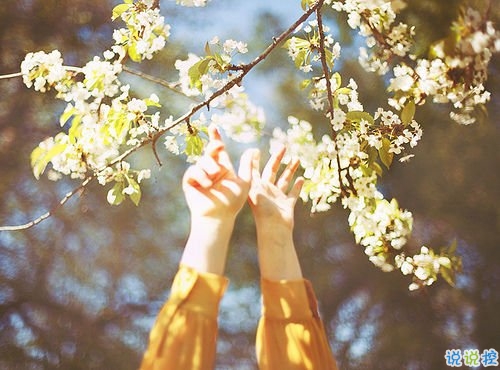 想說給你的一句心里話愛情說說 愛情說說很現(xiàn)實(shí)的說說1