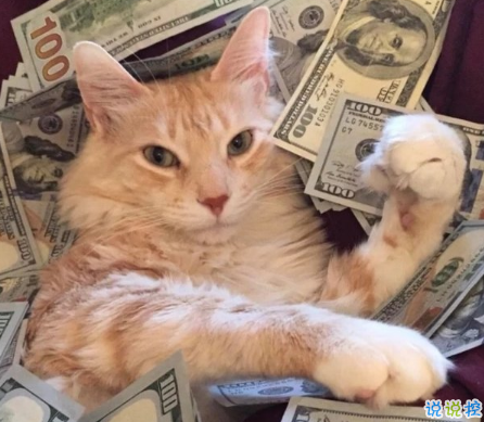 可愛說說配圖2018女生專屬 我生來就是寶貝，來到世間就是被寵的1