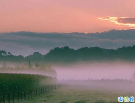 簡短的帶唯美的說活帶圖片 簡單一句話說說表達(dá)心中的情感1