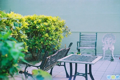 表達(dá)愛意的唯美句子配圖 肯定能打動(dòng)你心的唯美說說帶圖片12