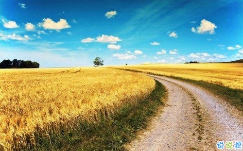 2019年除夕夜勵(lì)志經(jīng)典說說帶圖片 除夕夜微信說說簡(jiǎn)單一句話9