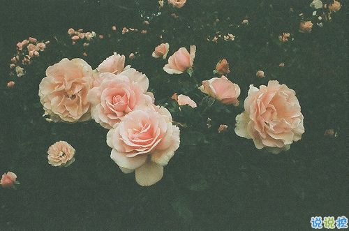 2018正能量的奮斗經(jīng)典說說配圖 簡單霸氣的勵志說說201811