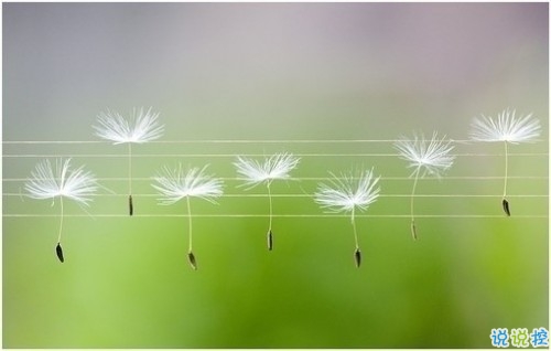 關(guān)于現(xiàn)實的人生感悟帶圖片 27條值得收藏和學(xué)習(xí)的經(jīng)典說說大全7