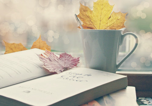 簡單一句話早安說說很勵(lì)志 愿你的世界永遠(yuǎn)是晴天11