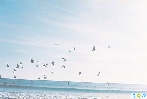 關(guān)于愛情簡(jiǎn)單又有道理的句子配圖 愛情是一個(gè)人的天荒地老1