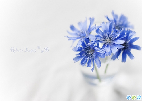 女生發(fā)朋友圈可愛搞怪的句子帶圖片 最新微信搞笑說說大全6